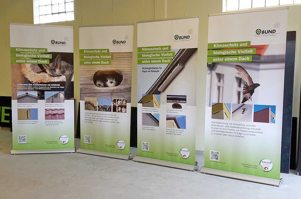 Displaysysteme, Roll-Ups